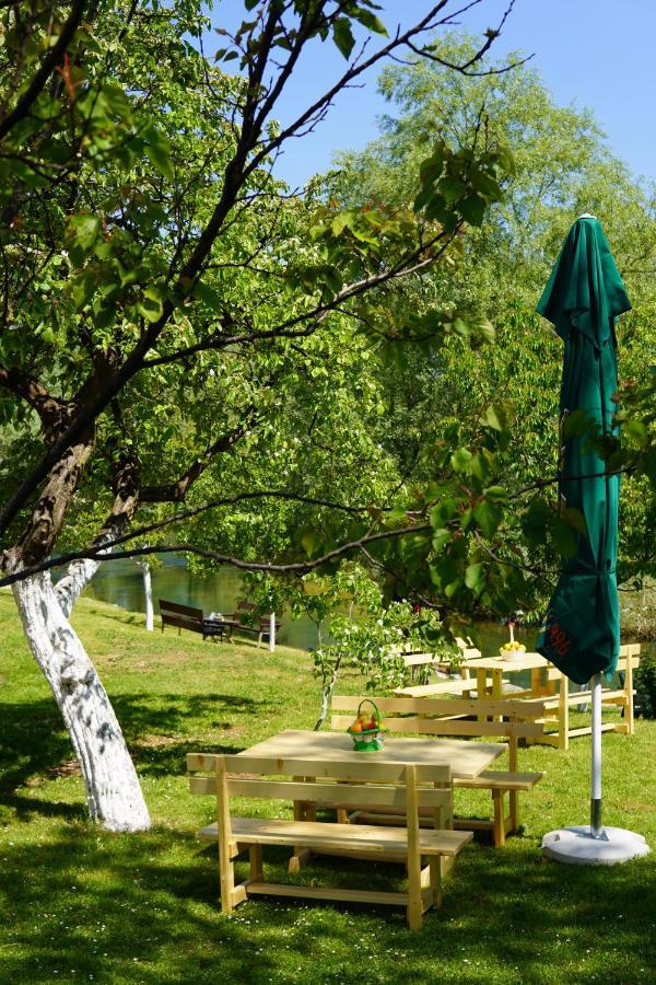 Apartments Manitovac M Nikšić Bagian luar foto